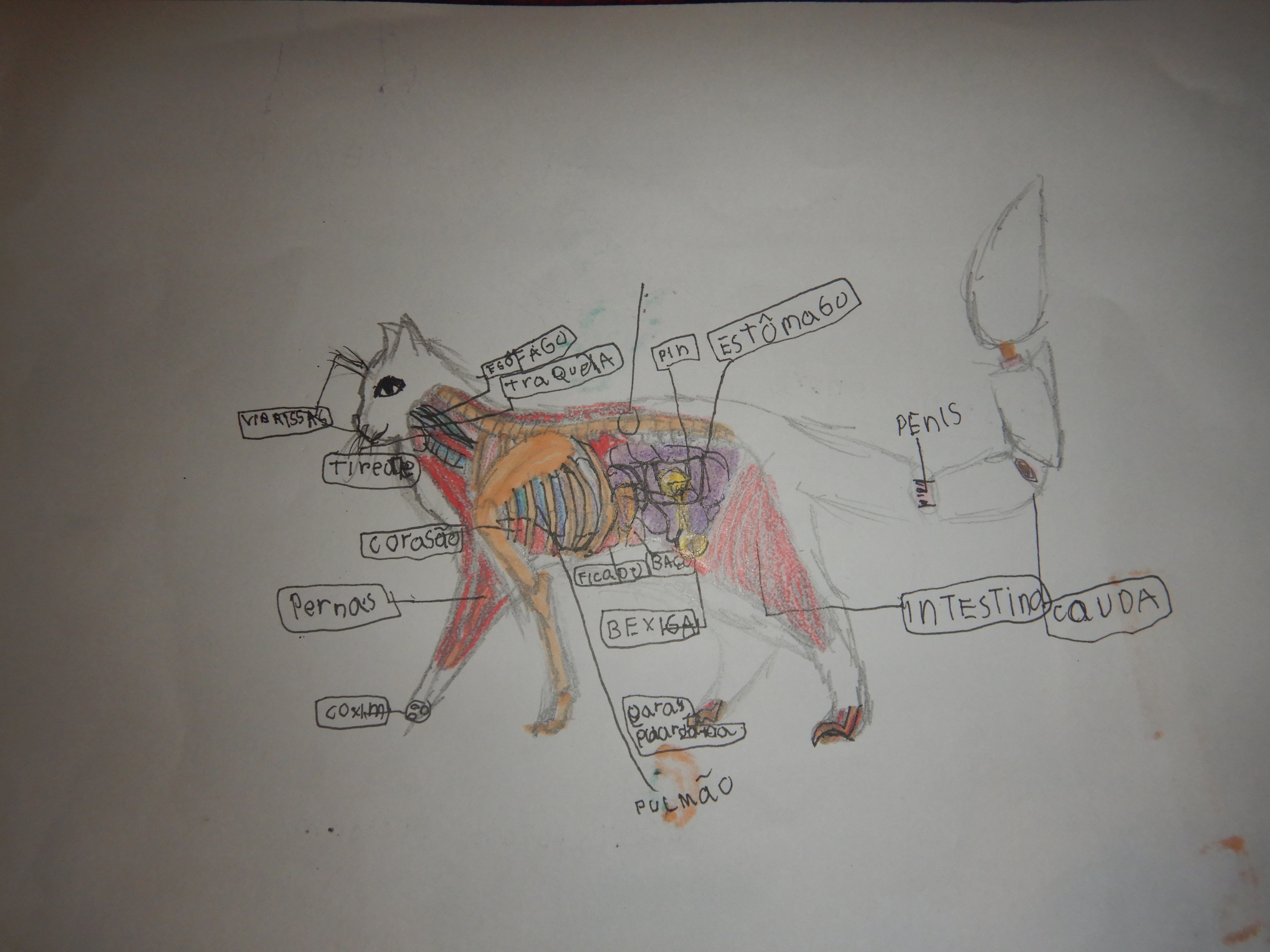 O que ando aprendendo