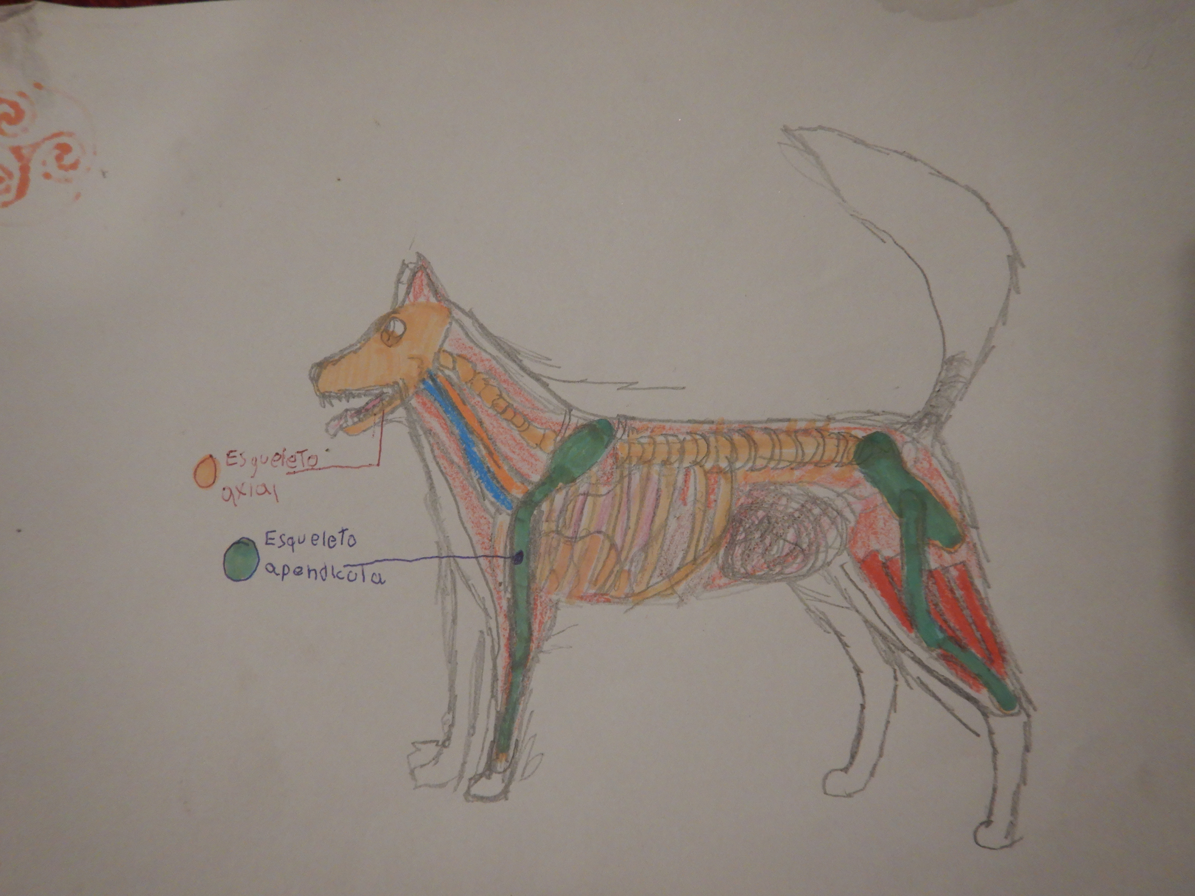 O que ando aprendendo